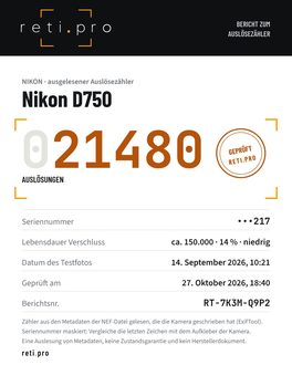 Beispielbericht zum Auslösezähler