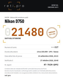 Esempio di report del contatore