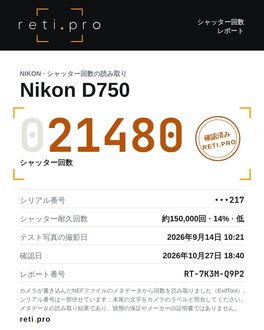 シャッター回数レポートの例