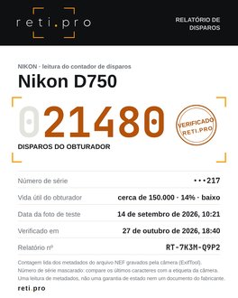 Exemplo de relatório de disparos